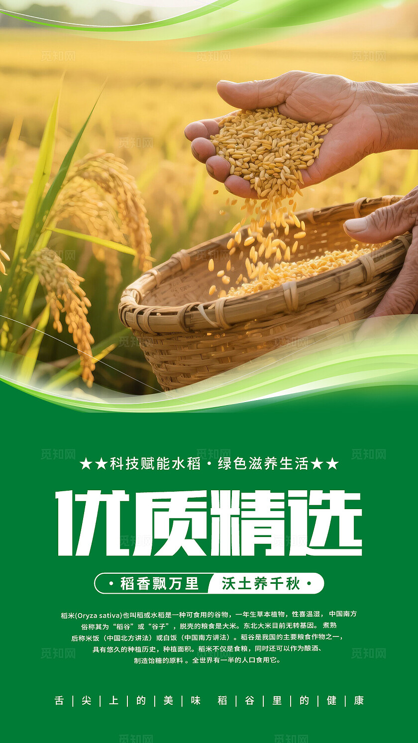 绿色清新水稻海报套图