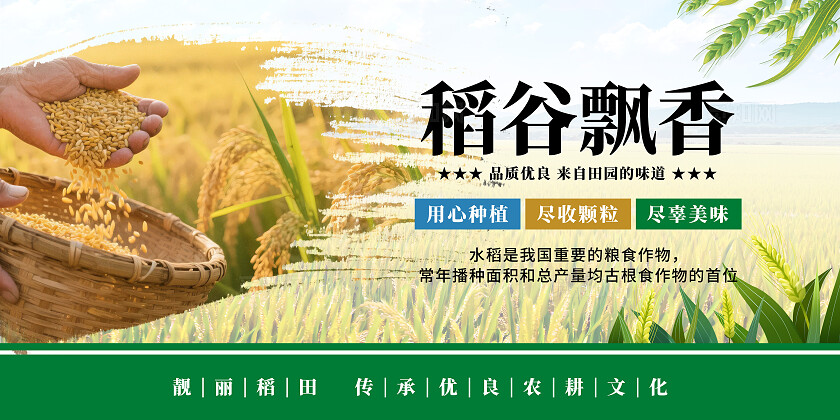 绿色清新水稻宣传海报套图