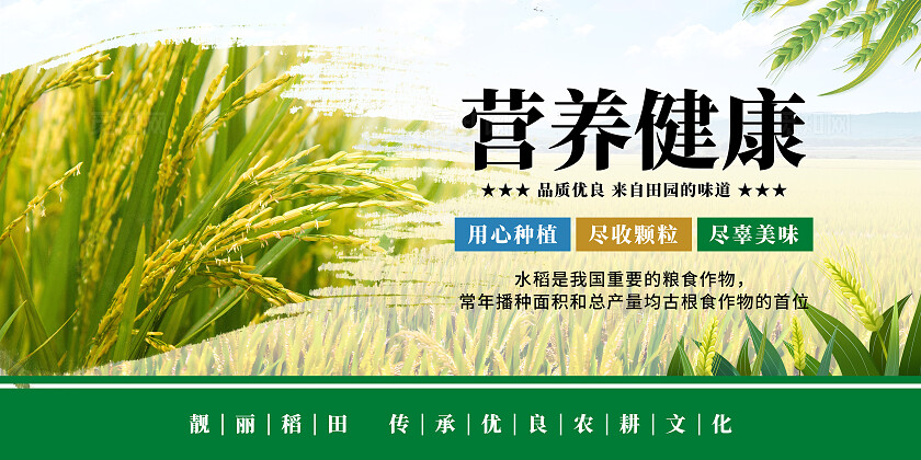 绿色清新水稻宣传海报套图