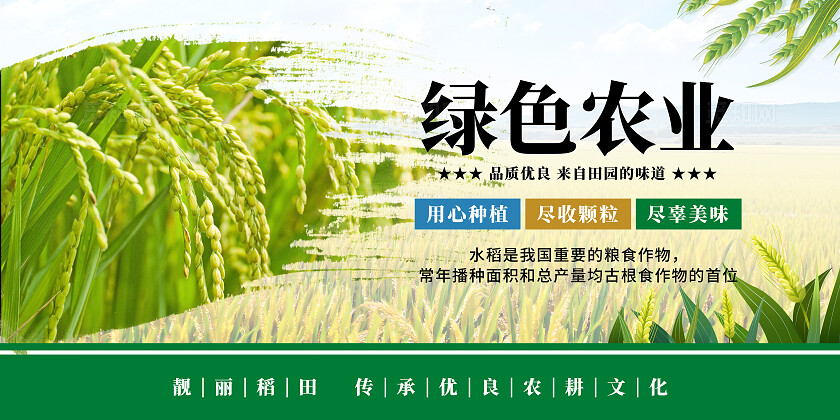 绿色清新水稻宣传海报套图