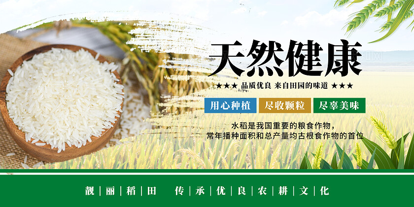 绿色清新水稻宣传海报套图