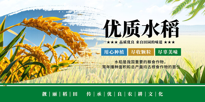 绿色清新水稻宣传海报套图