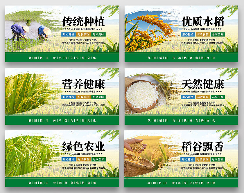 绿色清新水稻宣传海报套图