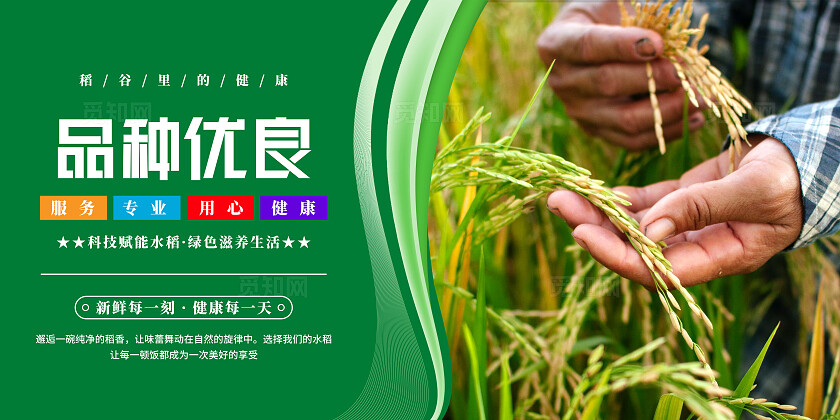 绿色清新水稻文化宣传海报套图