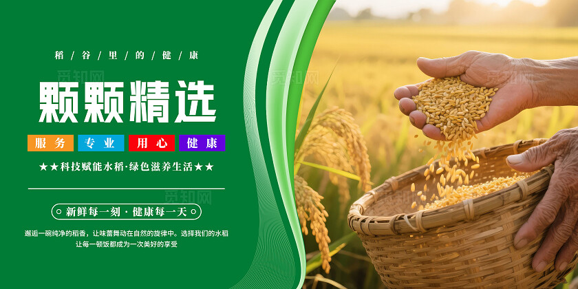 绿色清新水稻文化宣传海报套图