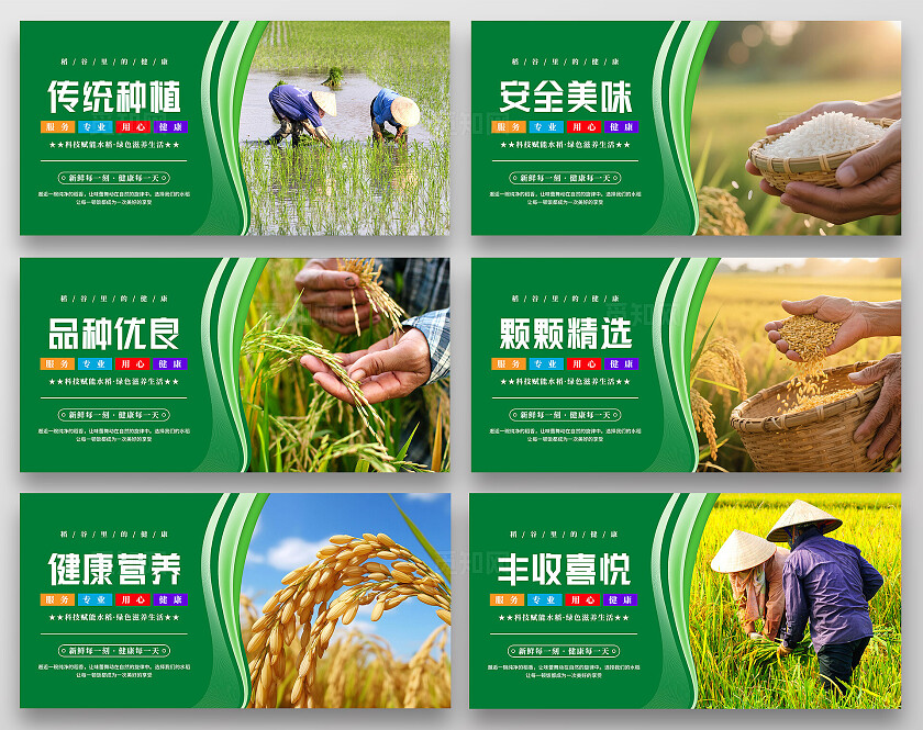 绿色清新水稻文化宣传海报套图