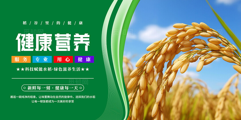 绿色清新水稻文化宣传海报套图