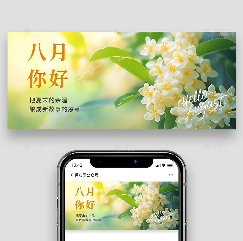八月你好公众号封面