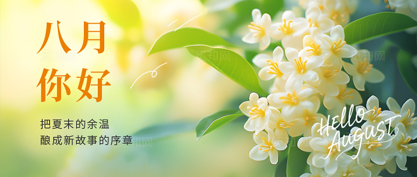 八月你好公众号封面