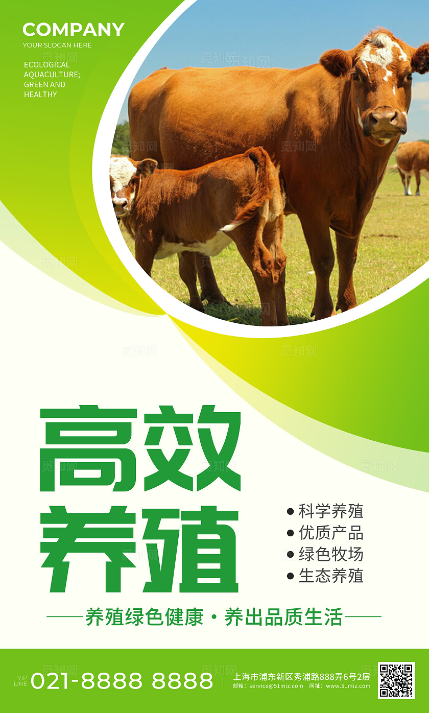 绿色简约生态养殖绿色养殖健康品质海报套图背景