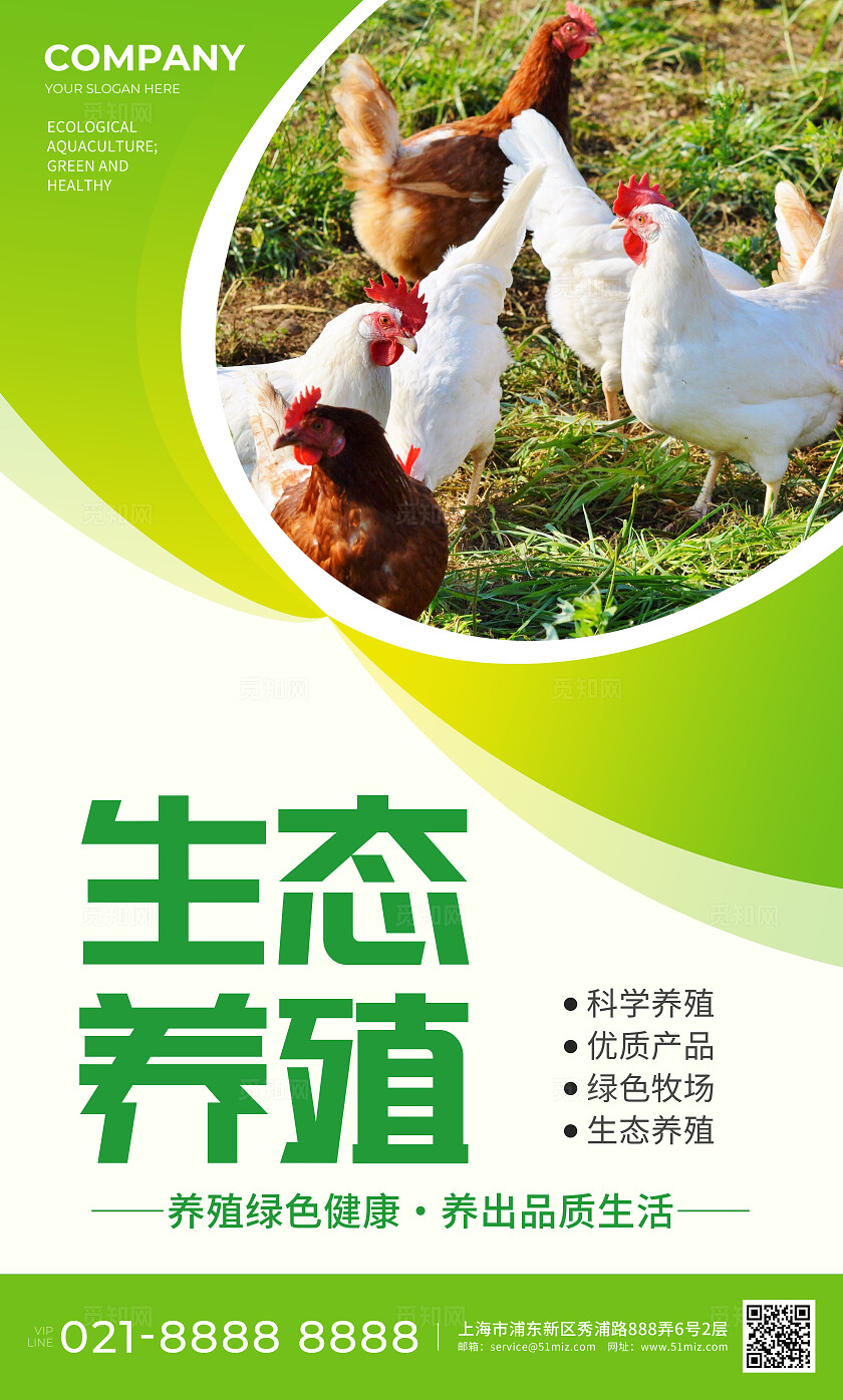 绿色简约生态养殖绿色养殖健康品质海报套图背景