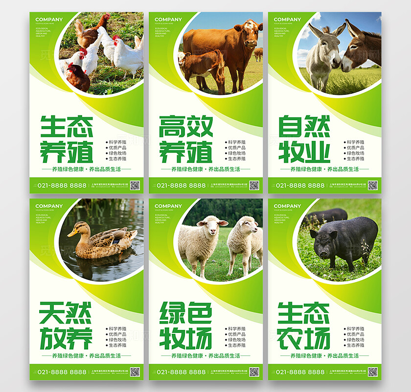 绿色简约生态养殖绿色养殖健康品质海报套图背景
