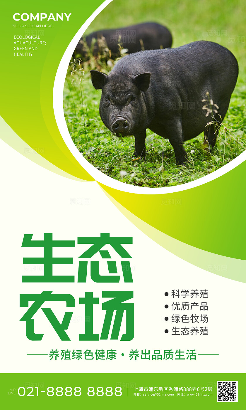 绿色简约生态养殖绿色养殖健康品质海报套图背景