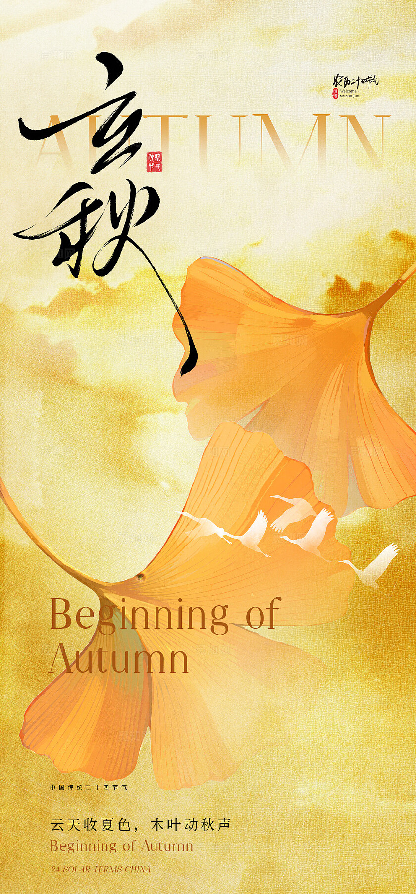 立秋节气海报