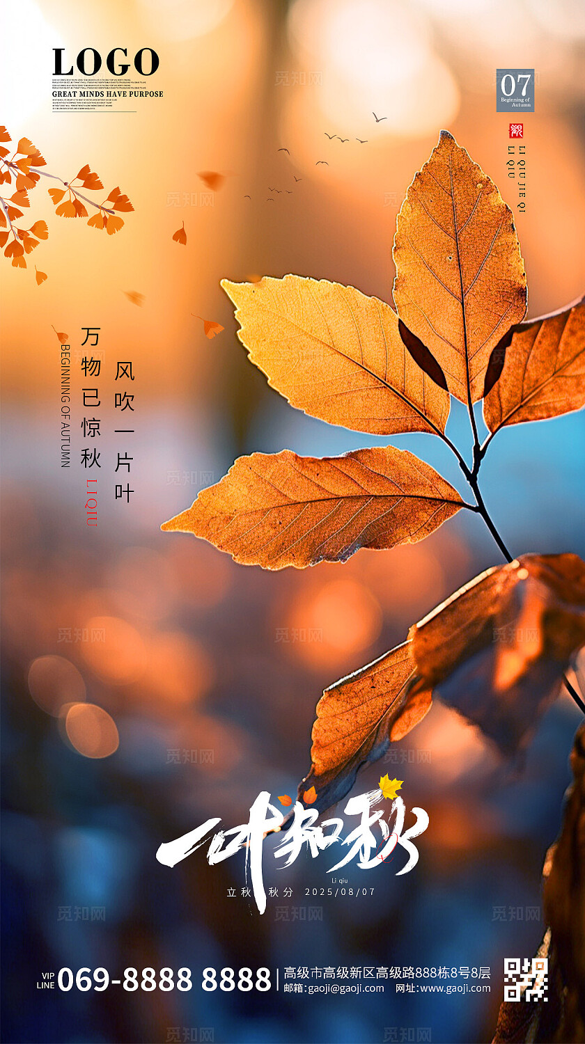 简约创意秋天立秋节气二十四节气宣传海报手机海报