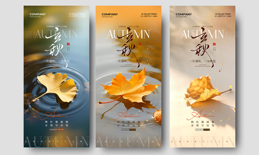 简约一片秋叶二十四节气立秋节气手机宣传海报