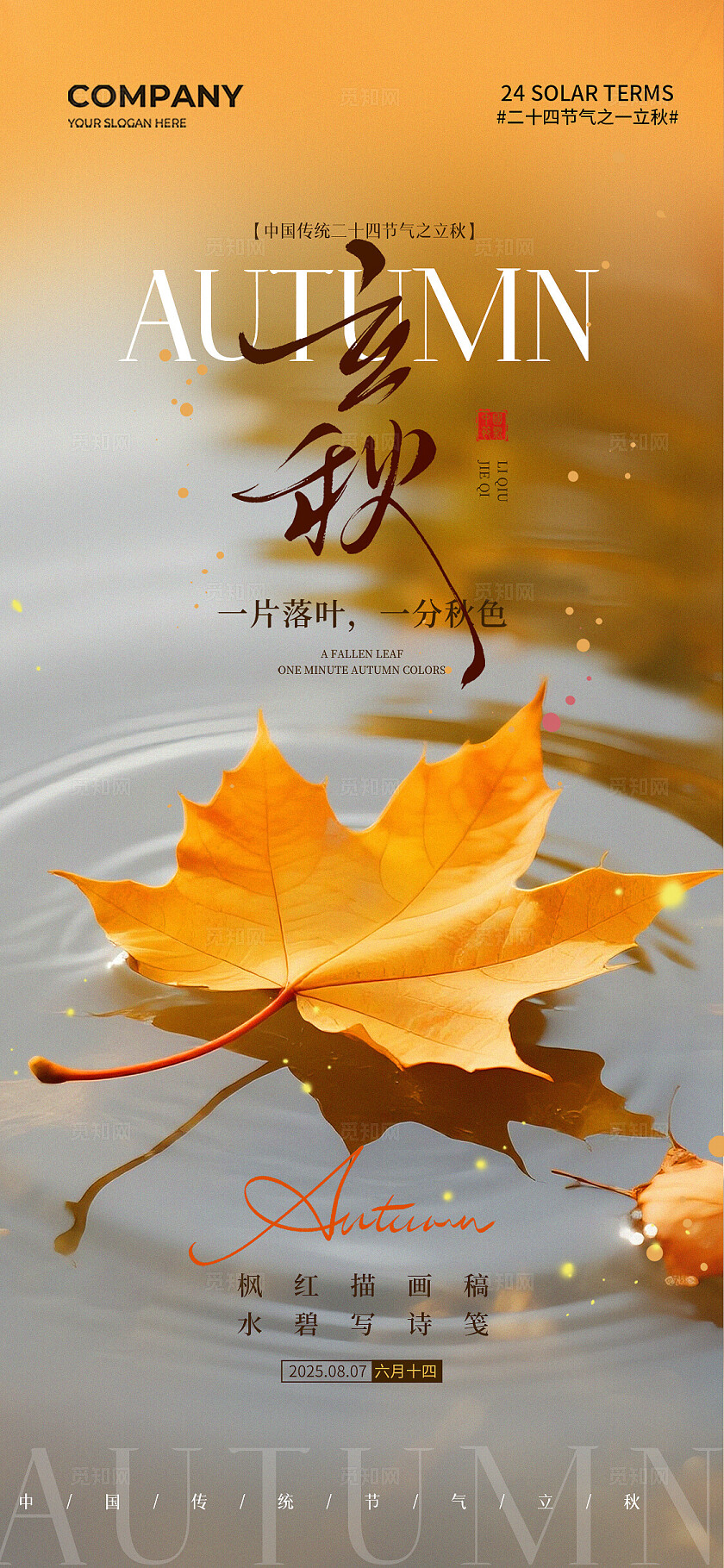 简约一片秋叶二十四节气立秋节气手机宣传海报