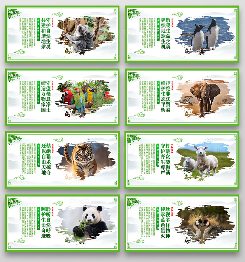 保护动物宣传展板套图
