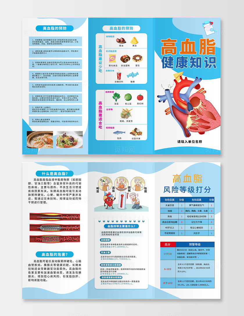 蓝色简约高血脂健康知识宣传三折页套图