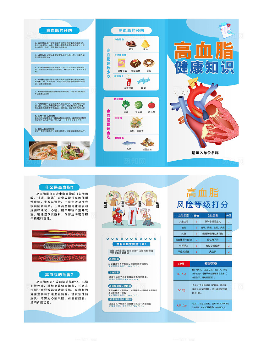 蓝色简约高血脂健康知识宣传三折页套图