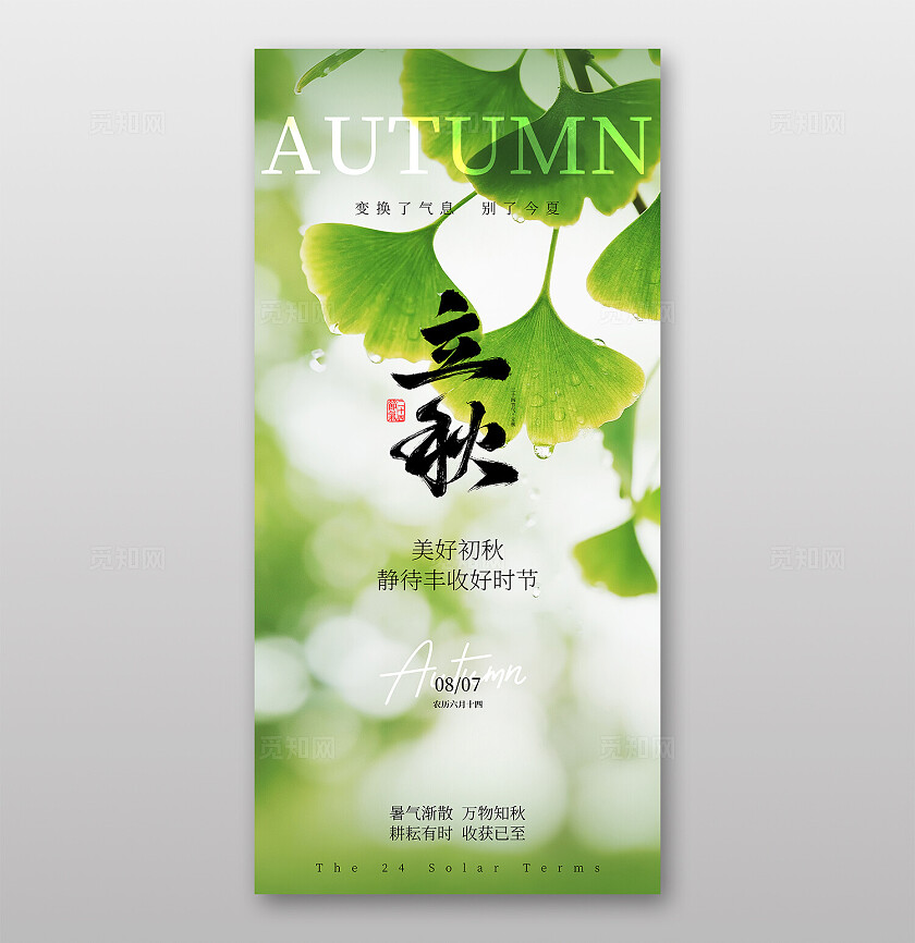 绿色立秋节气海报
