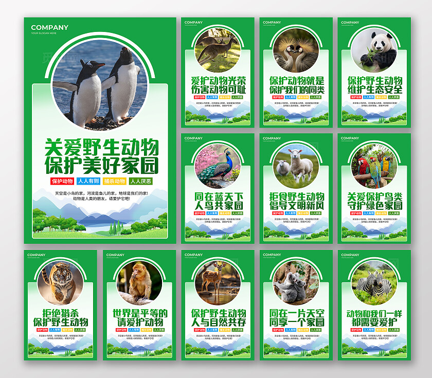 保护野生动物公益宣传海报套图