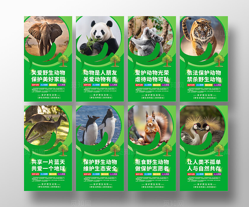 保护动物公益宣传海报套图