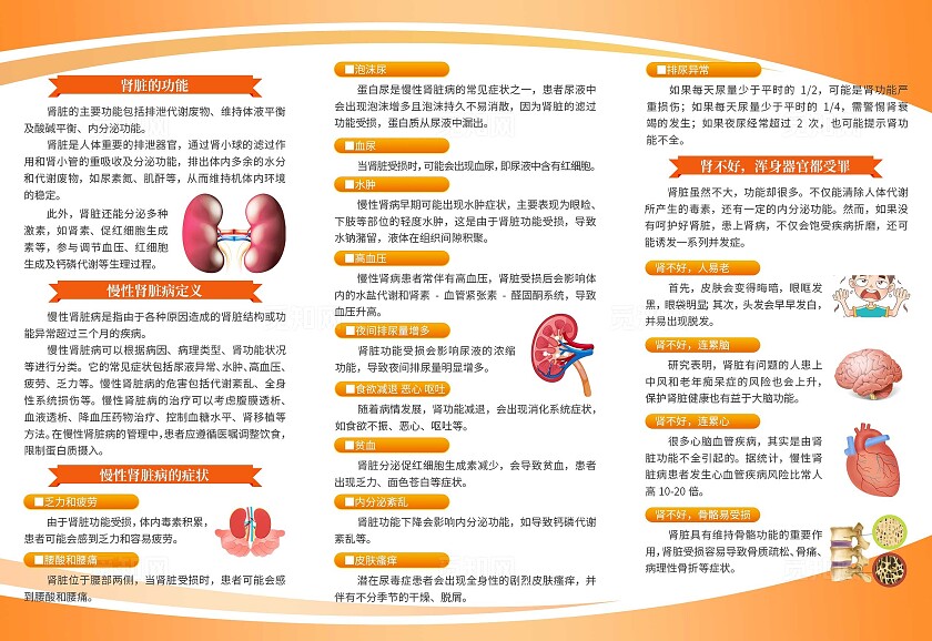 橘色大气关爱肾脏健康知识医疗三折页