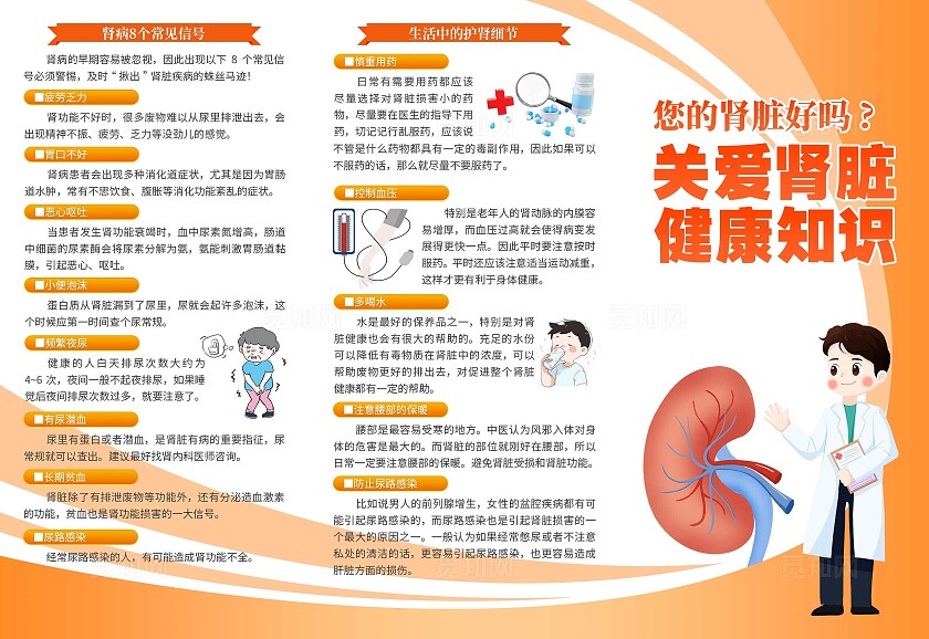 橘色大气关爱肾脏健康知识医疗三折页