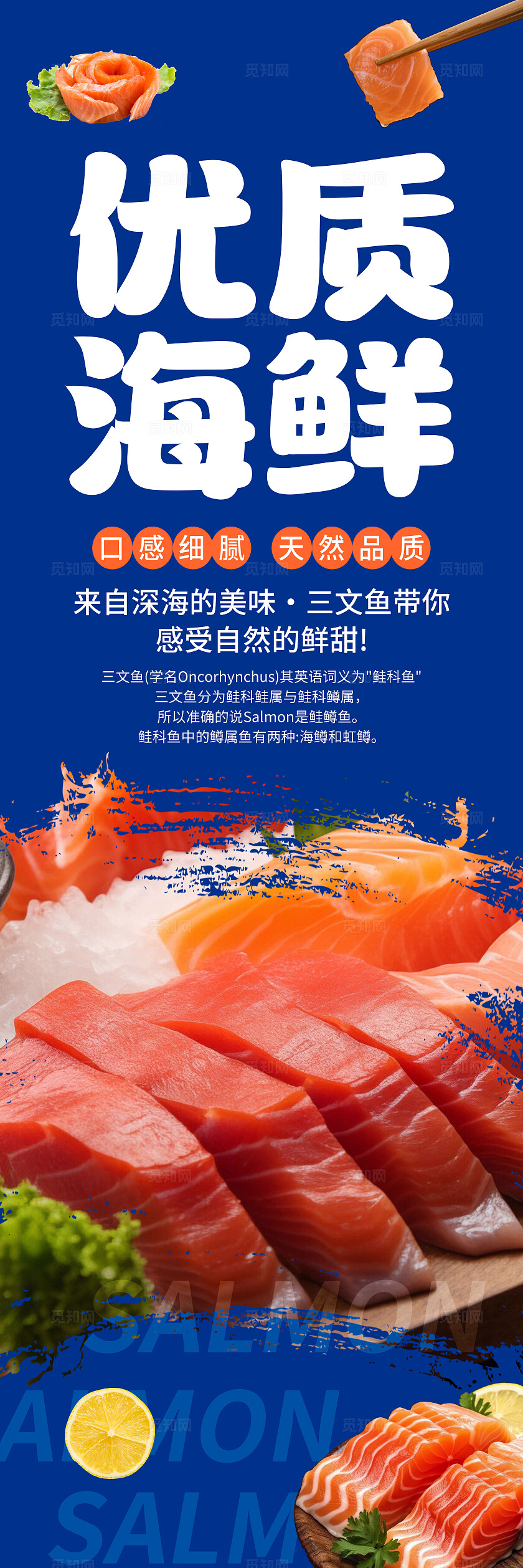 蓝白色简约优质海鲜三文鱼鲜嫩美味吊旗套图背景