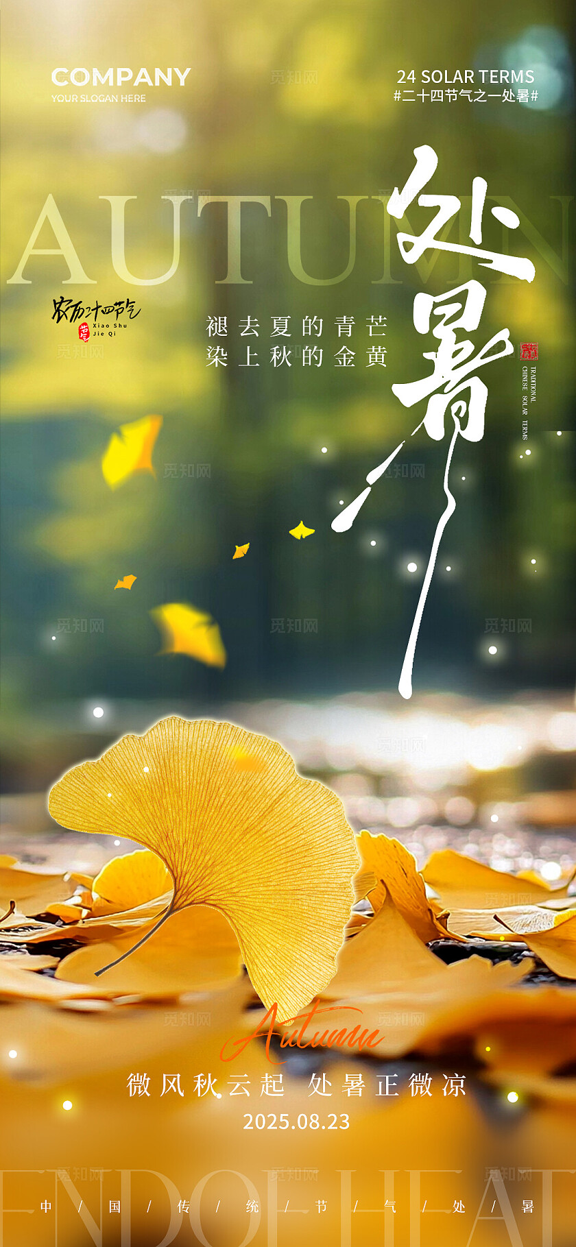 摄影实拍风二十四节气处暑节气手机宣传海报