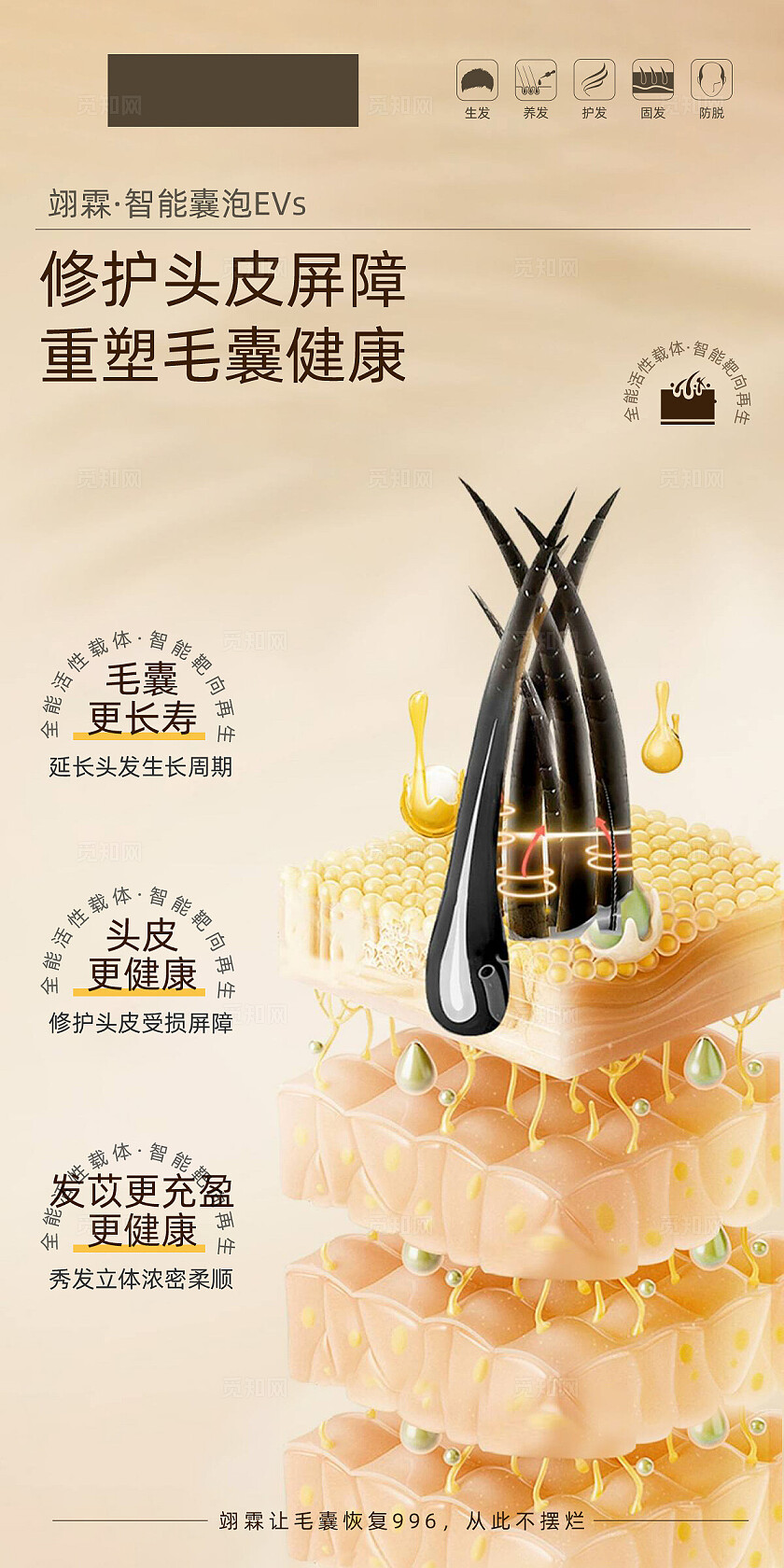 植发毛发毛囊海报