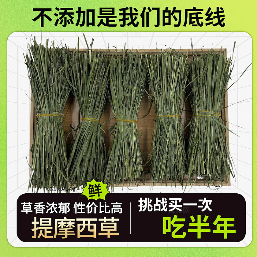 天猫淘宝兔子宠物用品狗粮猫粮活动零食主图