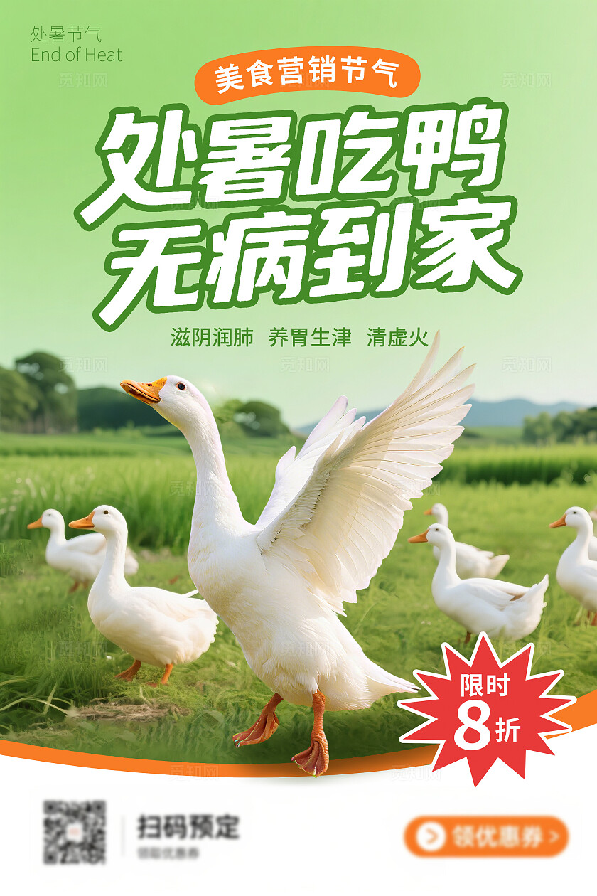 处暑节气吃鸭养生食疗海报