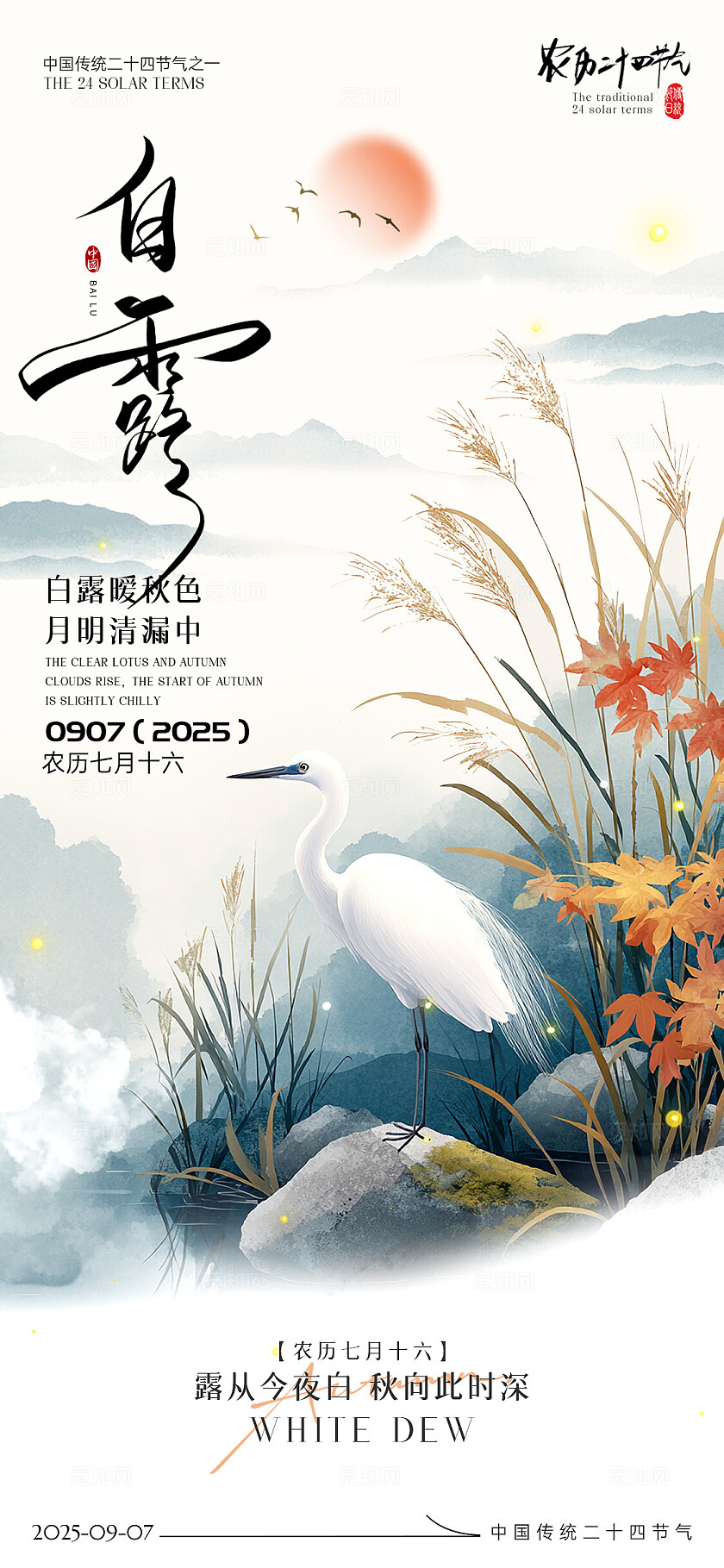 国风白露节气海报二十四节气