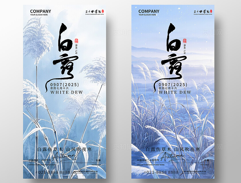 二十四节气白露节气宣传海报