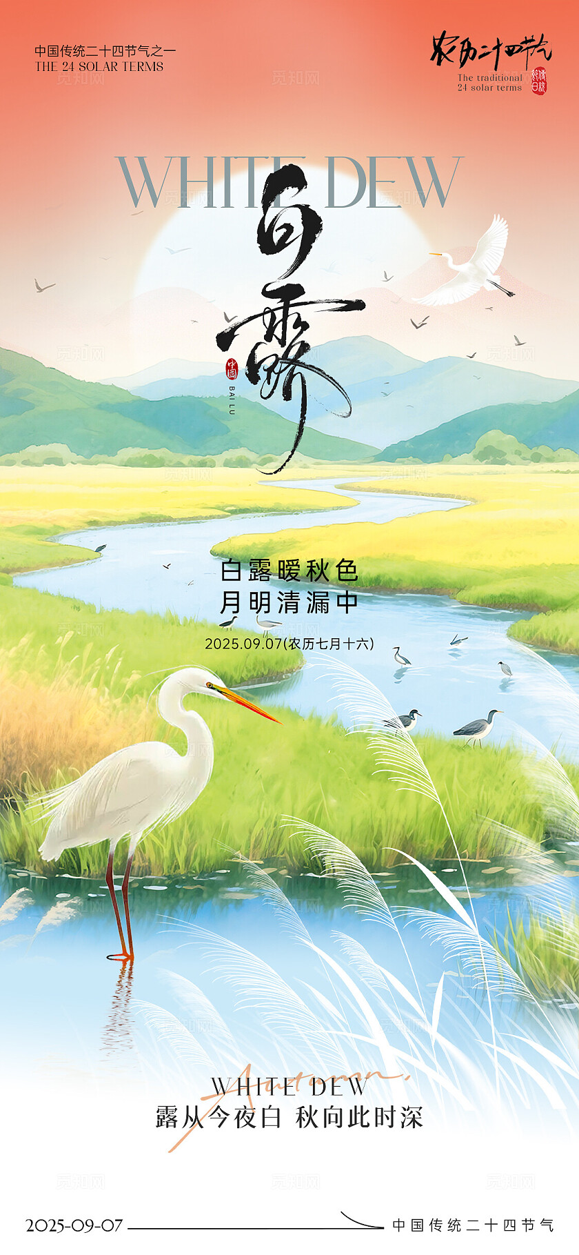 国风白露节气海报二十四节气