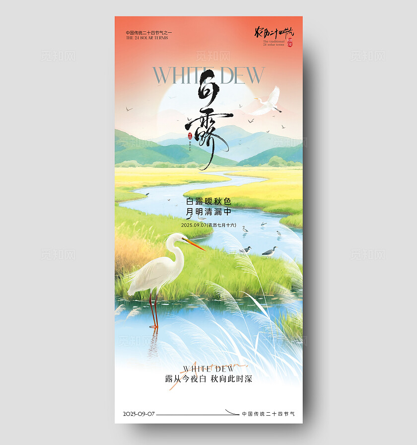 国风白露节气海报二十四节气