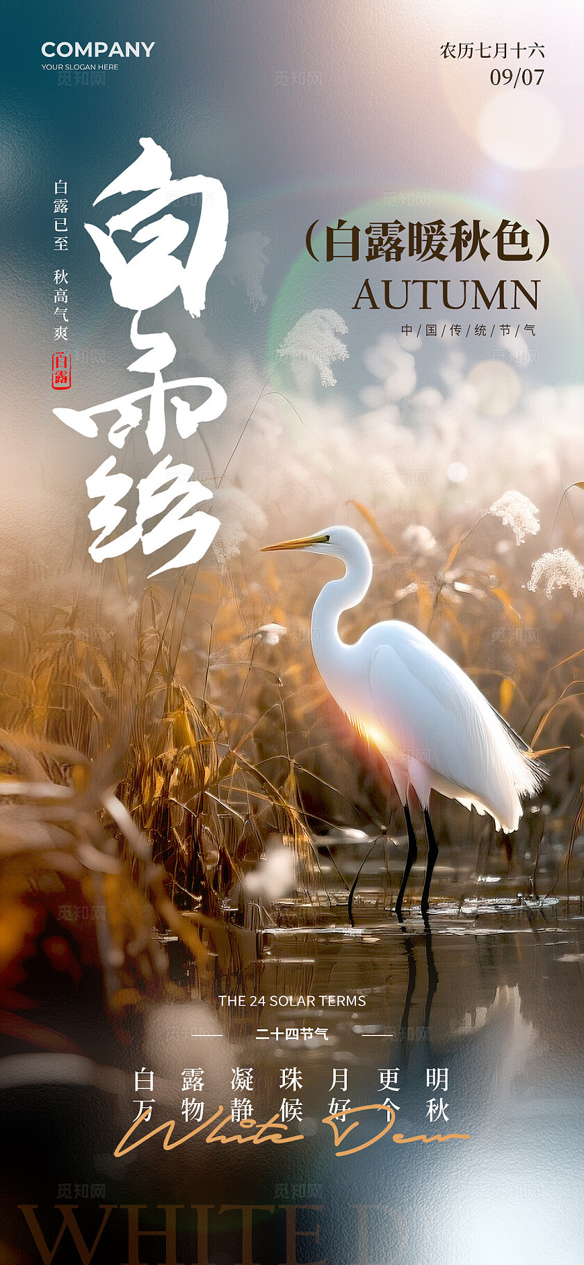 渐变色实拍风格白露白露宣传海报白露海报节气海报