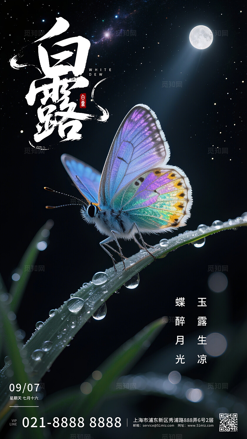 冷色调白露节气海报