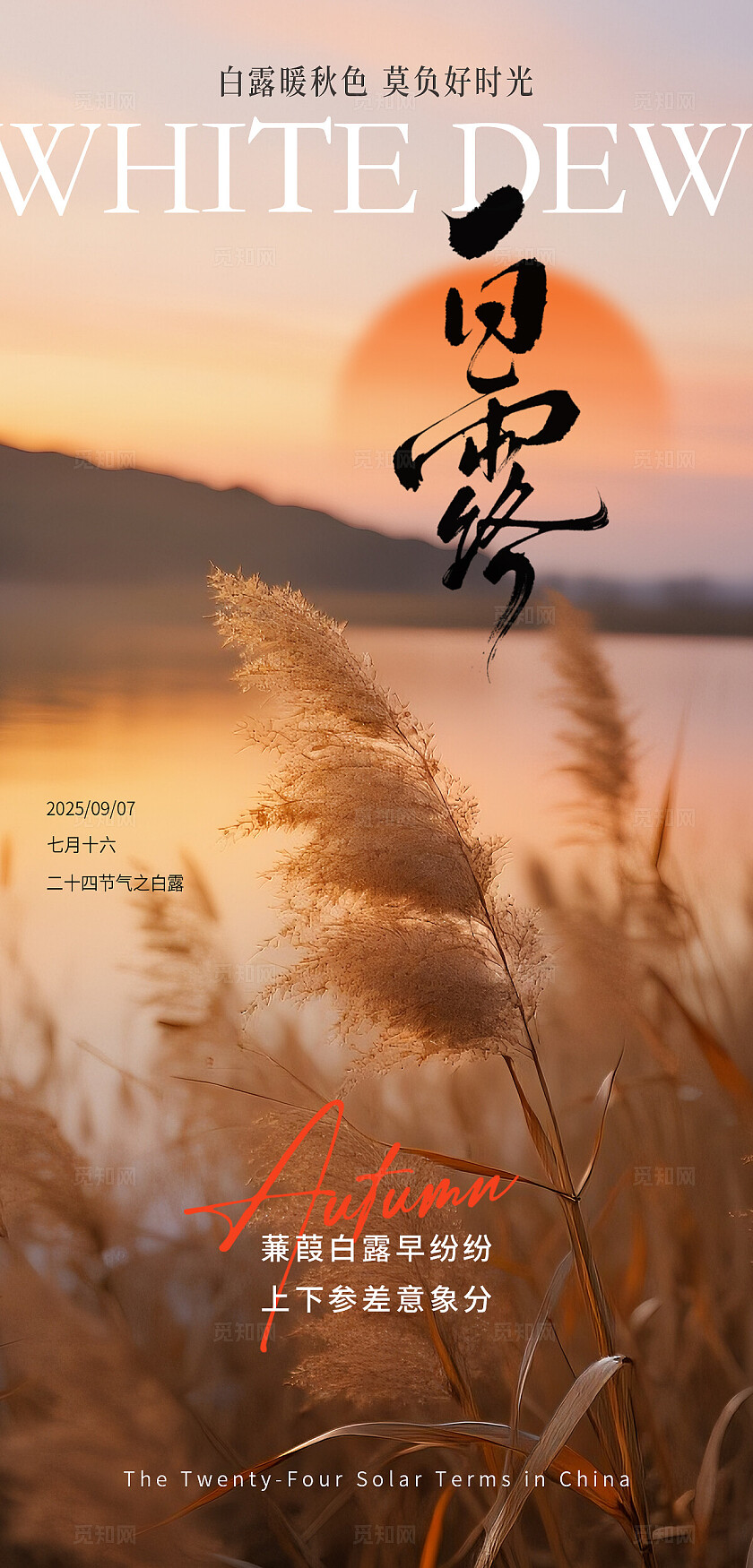 秋天白露节气海报