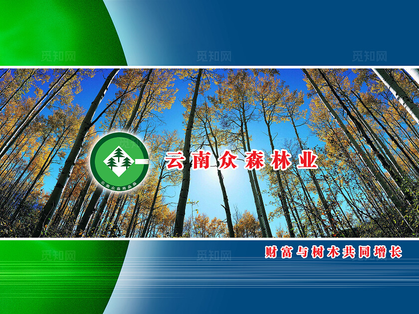 林业宣传画册图片