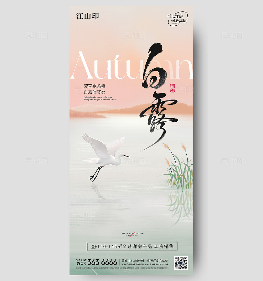 简约大气湖景白露节气海报