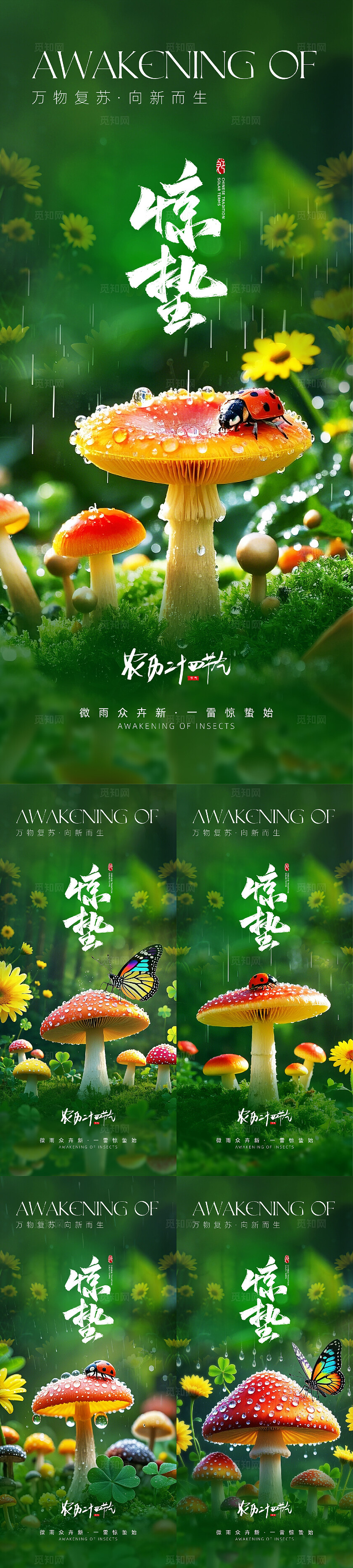 惊蛰蘑菇昆虫微雨新生惊蛰节气海报
