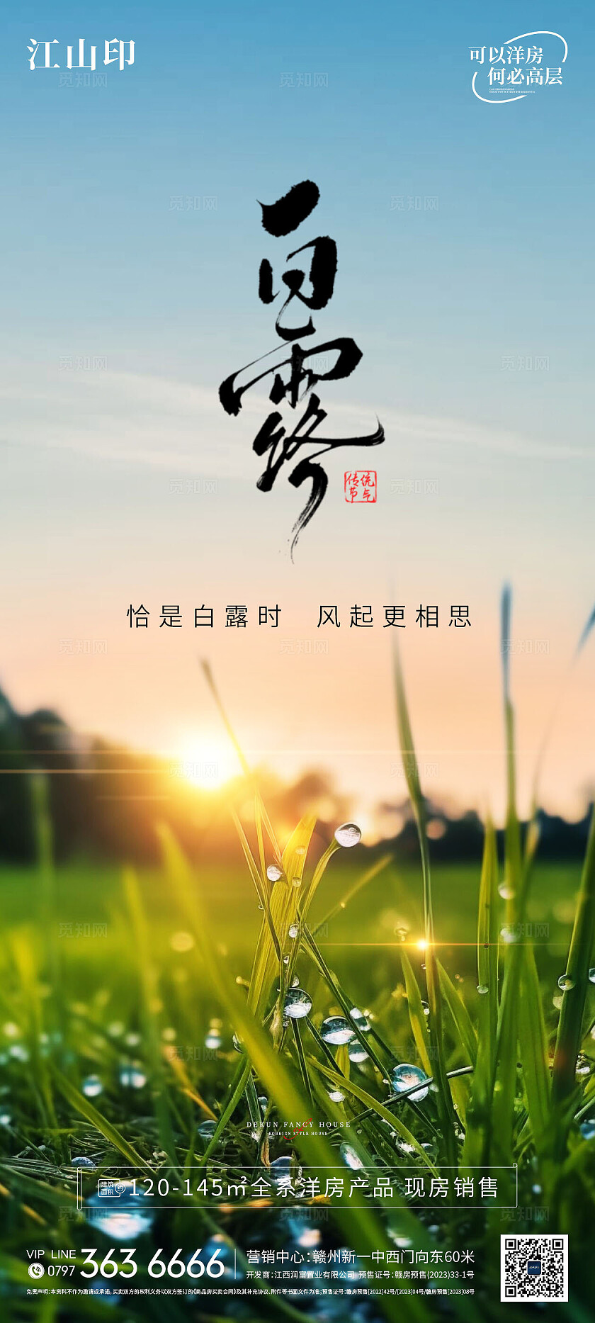 金色田野白露节气海报