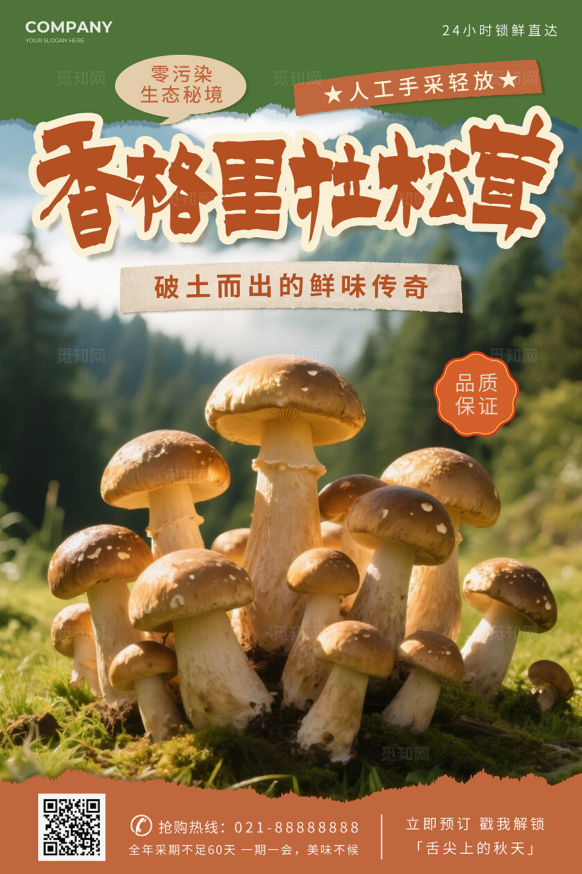 绿色简约香格里拉松茸农产品野生菌文案海报农产品野生菌海报