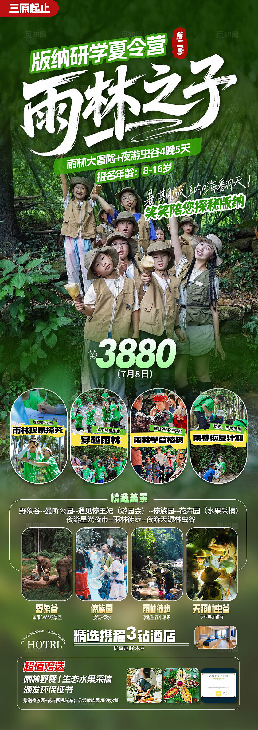 旅游自然雨林之子旅游活动宣传海报