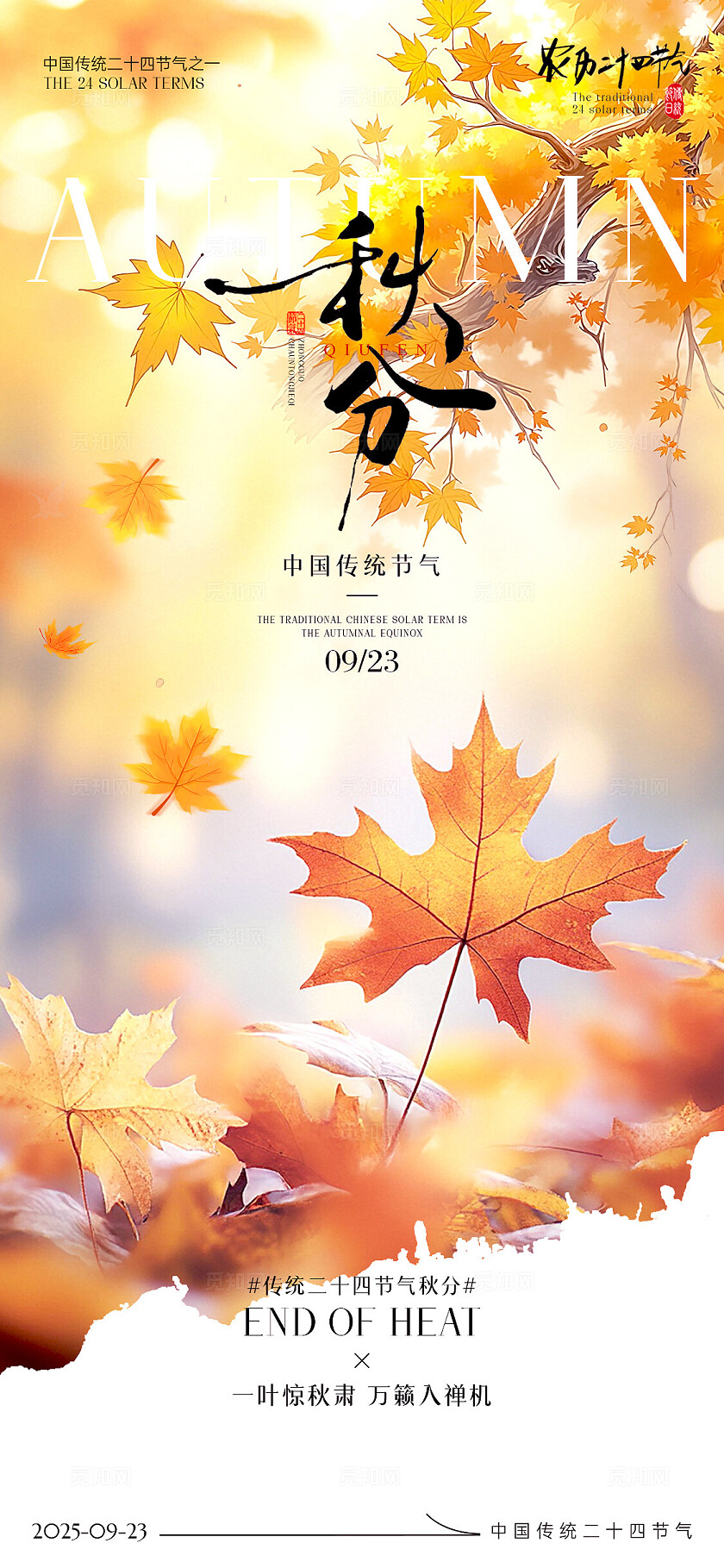 中国风2025秋分节气手机宣传海报秋天海报