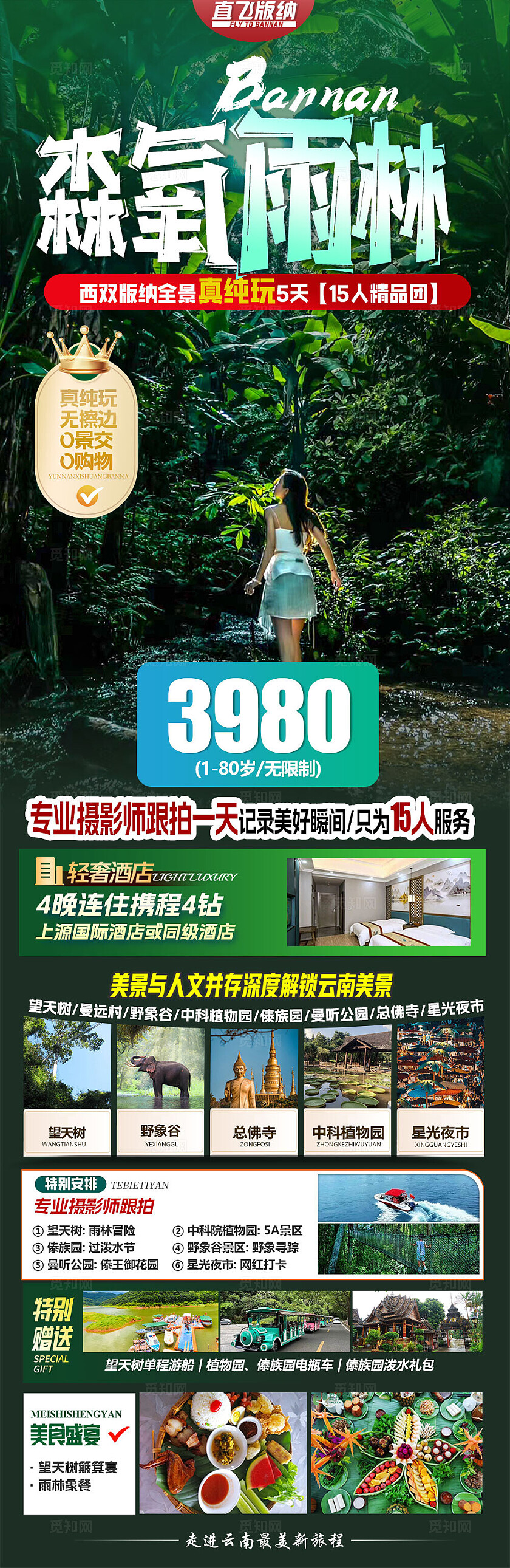 绿色旅游宣传森氧雨林旅游活动宣传