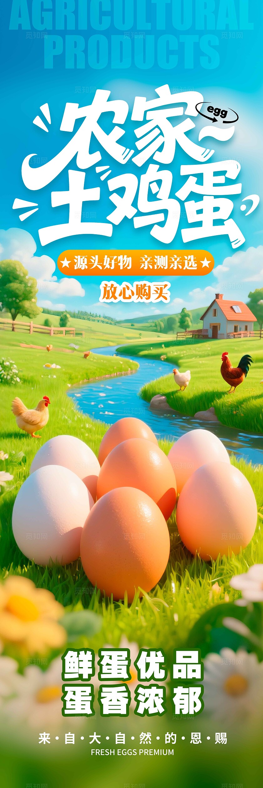 蓝色电商风格农家土鸡蛋农产品鸡蛋挂画鸡蛋挂画农产品挂画